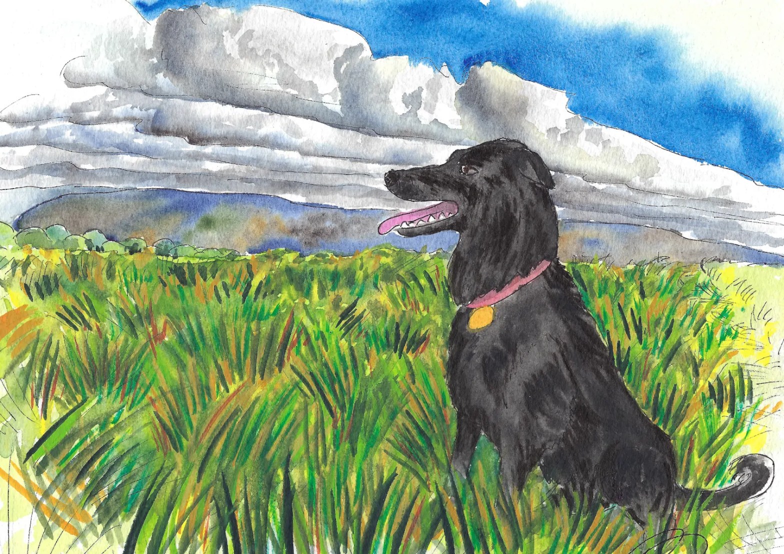 Watercolor painting of grass field and dog.